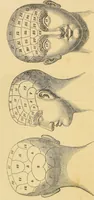 Picture 1 of 20 from Manual of phrenology : as an accompaniment to the phrenological bust / [James De Ville]. (1835), leaf 14