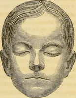 Picture 18 of 20 from Manual of phrenology : as an accompaniment to the phrenological bust / [James De Ville]. (1835), leaf 162