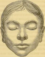 Picture 19 of 20 from Manual of phrenology : as an accompaniment to the phrenological bust / [James De Ville]. (1835), leaf 164