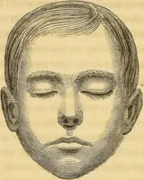 Picture 20 of 20 from Manual of phrenology : as an accompaniment to the phrenological bust / [James De Ville]. (1835), leaf 168