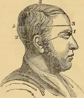 Picture 6 of 20 from Manual of phrenology : as an accompaniment to the phrenological bust / [James De Ville]. (1835), leaf 39