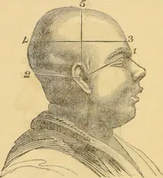 Picture 7 of 20 from Manual of phrenology : as an accompaniment to the phrenological bust / [James De Ville]. (1835), leaf 40