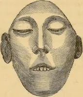 An illustration from Manual of phrenology : as an accompaniment to the phrenological bust / [James De Ville]. (1835)