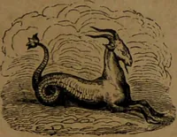 Picture 37 of 71 from L'art de connaître l'avenir par la chiromancie, les horoscopes, les divinations anciennes, le marc de café, etc. / Par Johannès Trismégiste [i.e. Lorambert]. Orné de 101 figures. (1843), leaf 61