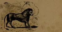An illustration from L'art de connaître l'avenir par la chiromancie, les horoscopes, les divinations anciennes, le marc de café, etc. / Par Johannès Trismégiste [i.e. Lorambert]. Orné de 101 figures. (1843)