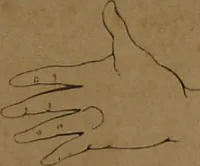 An illustration from L'art de connaître l'avenir par la chiromancie, les horoscopes, les divinations anciennes, le marc de café, etc. / Par Johannès Trismégiste [i.e. Lorambert]. Orné de 101 figures. (1843)