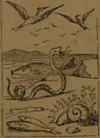 An illustration from L'art de tirer les cartes : révélations complètes sur les destinées au moyen des cartes et des tarots d'après les méthodes les plus certaines, suivis d'un jeu des patiences / par Johannès Trismégiste [i.e. Lorambert]. Orné de 150 figures. (1845)