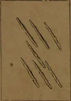 Picture 52 of 91 from L'art de tirer les cartes : révélations complètes sur les destinées au moyen des cartes et des tarots d'après les méthodes les plus certaines, suivis d'un jeu des patiences / par Johannès Trismégiste [i.e. Lorambert]. Orné de 150 figures. (1845), leaf 91