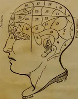 An illustration from Sistema completo de frenolojia ... / por Mariano Cubi i Soler. (1843)