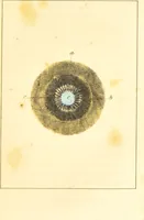 An illustration from A familiar treatise on the five senses : being an account of the conformation and functions of the eye, ear, nose, tongue, and skin ... / by Charles Bell. (1841)