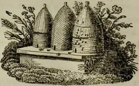 An illustration from Le Lavater moral. (1820)
