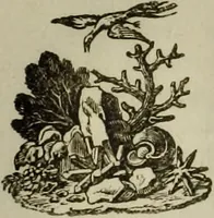 An illustration from Le Lavater moral. (1820)