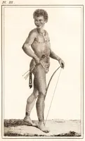 An illustration from Voyage de M. le Vaillant dans l'intérieur de l'Afrique par le Cap de Bonne Espérance, dans les années 1780 ... [-]85 / [François Le Vaillant]. (1790)