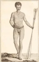 An illustration from Voyage de M. le Vaillant dans l'intérieur de l'Afrique par le Cap de Bonne Espérance, dans les années 1780 ... [-]85 / [François Le Vaillant]. (1790)