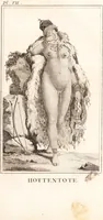 Picture 13 of 16 from Voyage de M. le Vaillant dans l'intérieur de l'Afrique par le Cap de Bonne Espérance, dans les années 1780 ... [-]85 / [François Le Vaillant]. (1790), leaf 411