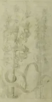 An illustration from Blumen und Insecten-Buch, darinnen auf das fleissigsten nicht allein die Blumen mit ihren Blättern nach den Leben ins Kupffer vor Augen gestellet; sondern auch jede Blume nach ihren eigentlichen Nahmen genennet, etc / [Anon]. (1790)