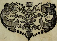 An illustration from Blumen und Insecten-Buch, darinnen auf das fleissigsten nicht allein die Blumen mit ihren Blättern nach den Leben ins Kupffer vor Augen gestellet; sondern auch jede Blume nach ihren eigentlichen Nahmen genennet, etc / [Anon]. (1790)