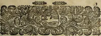 An illustration from Blumen und Insecten-Buch, darinnen auf das fleissigsten nicht allein die Blumen mit ihren Blättern nach den Leben ins Kupffer vor Augen gestellet; sondern auch jede Blume nach ihren eigentlichen Nahmen genennet, etc / [Anon]. (1790)