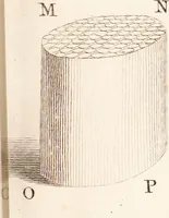 An illustration from The select works ... containing his microscopical discoveries ... / Translated from the Dutch and Latin editions ... by S. Hoole. (1798)