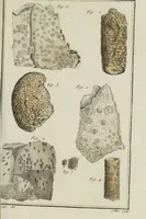 Picture 25 of 32 from Essais ou recueil de mémoires sur plusieurs points de minéralogie, avec la description des pièces déposées chez le Roi : la figure & l'analyse chimique de celles qui sont les plus intéressantes & la topographie de Moscow. Après un voyage fait au Nord / Par ordre du governement par M. Macquart. (1789), leaf 621