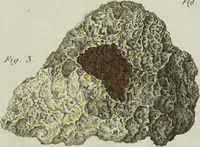 Picture 27 of 32 from Essais ou recueil de mémoires sur plusieurs points de minéralogie, avec la description des pièces déposées chez le Roi : la figure & l'analyse chimique de celles qui sont les plus intéressantes & la topographie de Moscow. Après un voyage fait au Nord / Par ordre du governement par M. Macquart. (1789), leaf 625