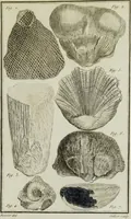 Picture 31 of 32 from Essais ou recueil de mémoires sur plusieurs points de minéralogie, avec la description des pièces déposées chez le Roi : la figure & l'analyse chimique de celles qui sont les plus intéressantes & la topographie de Moscow. Après un voyage fait au Nord / Par ordre du governement par M. Macquart. (1789), leaf 631