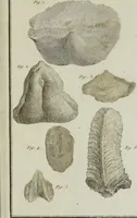 Picture 32 of 32 from Essais ou recueil de mémoires sur plusieurs points de minéralogie, avec la description des pièces déposées chez le Roi : la figure & l'analyse chimique de celles qui sont les plus intéressantes & la topographie de Moscow. Après un voyage fait au Nord / Par ordre du governement par M. Macquart. (1789), leaf 633