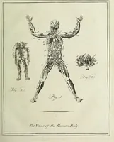An illustration from English physician; and complete herbal. To which are now first added, upwards of one hundred additional herbs, with a display of their medicinal and occult properties, physically applied to the cure of all disorders incident to mankind ... forming a complete family dispensatory. Illustrated with notes and observations, critical and explanatory / ... By E. Sibly. (1794)
