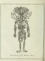 Picture 3 of 46 from English physician; and complete herbal. To which are now first added, upwards of one hundred additional herbs, with a display of their medicinal and occult properties, physically applied to the cure of all disorders incident to mankind ... forming a complete family dispensatory. Illustrated with notes and observations, critical and explanatory / ... By E. Sibly. (1794), leaf 58