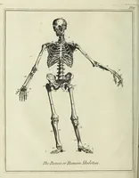 An illustration from English physician; and complete herbal. To which are now first added, upwards of one hundred additional herbs, with a display of their medicinal and occult properties, physically applied to the cure of all disorders incident to mankind ... forming a complete family dispensatory. Illustrated with notes and observations, critical and explanatory / ... By E. Sibly. (1794)