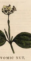 Picture 3 of 29 from A family herbal: or, Familiar account of the medical properties of British and foreign plants, also their uses in dying, and the various arts, arranged according to the Linnaean system / [Robert John Thornton]. (1814), leaf 201