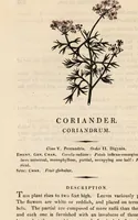 Picture 5 of 29 from A family herbal: or, Familiar account of the medical properties of British and foreign plants, also their uses in dying, and the various arts, arranged according to the Linnaean system / [Robert John Thornton]. (1814), leaf 326