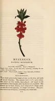 Picture 12 of 29 from A family herbal: or, Familiar account of the medical properties of British and foreign plants, also their uses in dying, and the various arts, arranged according to the Linnaean system / [Robert John Thornton]. (1814), leaf 401
