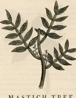 Picture 28 of 29 from A family herbal: or, Familiar account of the medical properties of British and foreign plants, also their uses in dying, and the various arts, arranged according to the Linnaean system / [Robert John Thornton]. (1814), leaf 870