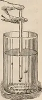 An illustration from A history of infusoria, living and fossil: arranged according to "Die Infusionsthierchen" of C.G. Ehrenberg. Containing coloured engravings, illustrative of all the genera, and descriptions of all the species in that work, with several new ones. To which is appended an account of those recently discovered in the chalk formations / By Andrew Pritchard. (1841)