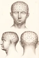 An illustration from Cours de phrénologie / Par F.-J.-V. Broussais. (1836)