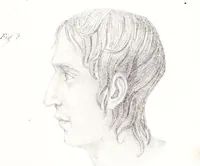 An illustration from Phrenology, or the doctrine of the mind : and of the relations between its manifestations and the body. (1825)