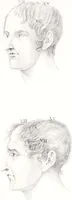 An illustration from Phrenology, or the doctrine of the mind : and of the relations between its manifestations and the body. (1825)