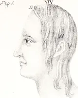 An illustration from Phrenology, or the doctrine of the mind : and of the relations between its manifestations and the body. (1825)