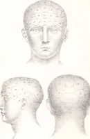 Picture 1 of 19 from Phrenology, or the doctrine of the mind : and of the relations between its manifestations and the body. (1825), leaf 8