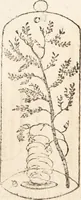 An illustration from One thousand processes in manufactures and experiments in chemistry / [Colin Mackenzie]. (1825)