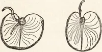 An illustration from One thousand processes in manufactures and experiments in chemistry / [Colin Mackenzie]. (1825)