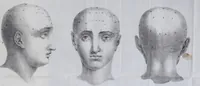 An illustration from Esposición sumaria del sistema frenológico del doctor Gall / [José Ramón Pacheco]. (1835)