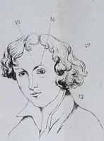 An illustration from Esposición sumaria del sistema frenológico del doctor Gall / [José Ramón Pacheco]. (1835)