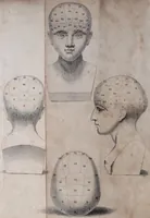 An illustration from Elements of phrenology / By George Combe. (1828)
