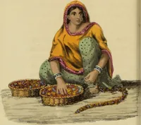 Picture 25 of 43 from Asiatic costumes; a series of forty-four coloured engravings, from designs taken from life: with a description to each subject / By Captain Smith, 44th Regiment. (1828), leaf 106