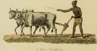 An illustration from Asiatic costumes; a series of forty-four coloured engravings, from designs taken from life: with a description to each subject / By Captain Smith, 44th Regiment. (1828)