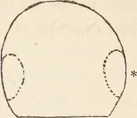 Picture 5 of 16 from The philosophy of phrenology / by a member of the Phrenological and Philosophical Societies of Glasgow. (1838), leaf 127
