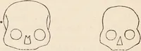 Picture 7 of 16 from The philosophy of phrenology / by a member of the Phrenological and Philosophical Societies of Glasgow. (1838), leaf 128