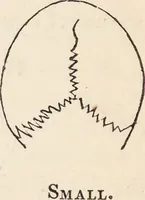 Picture 9 of 16 from The philosophy of phrenology / by a member of the Phrenological and Philosophical Societies of Glasgow. (1838), leaf 132